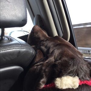 Meet your Posher, Aimee